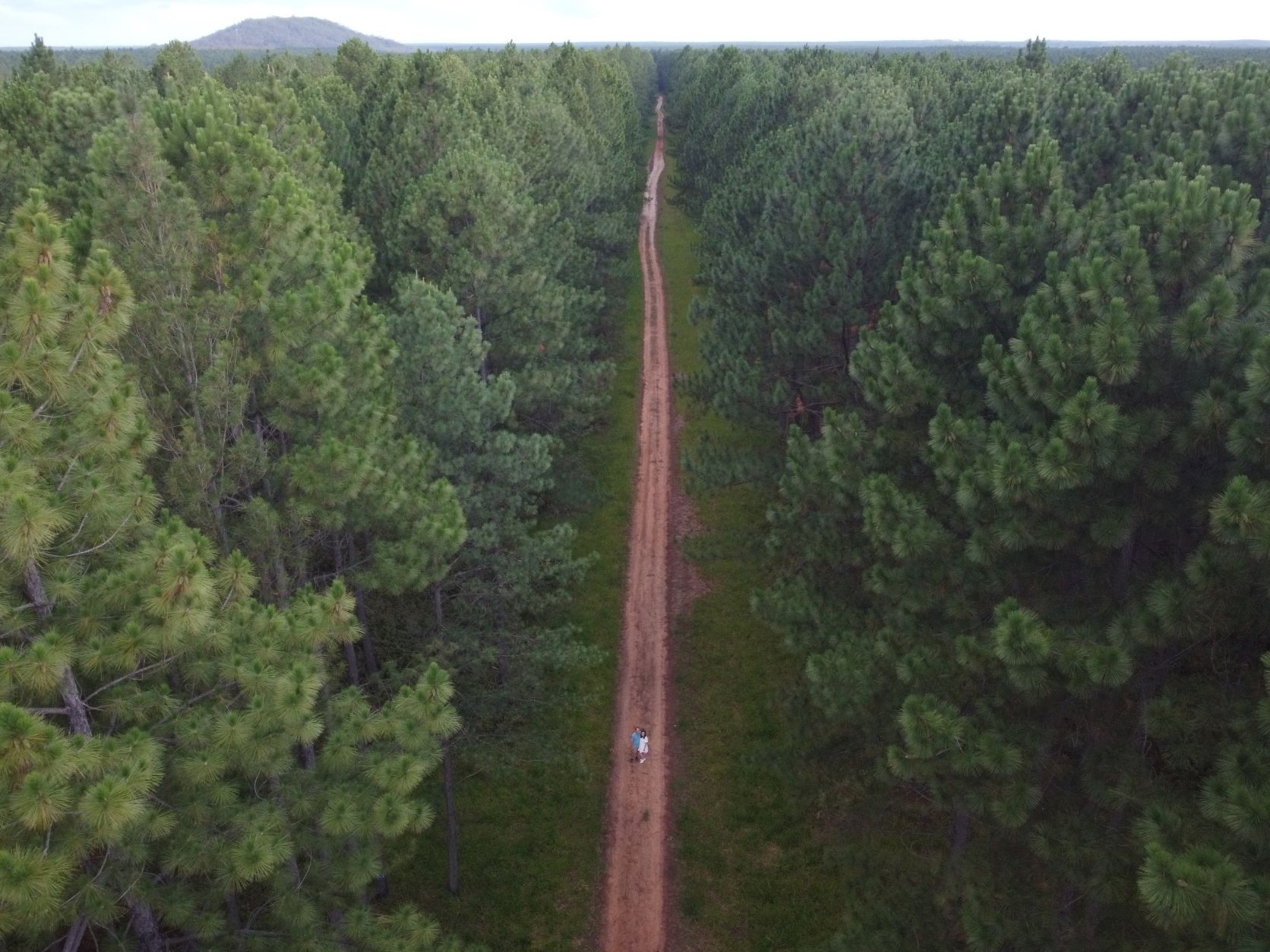 Lachlan & Jess in the forest